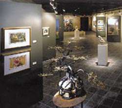 The Vision Gallery