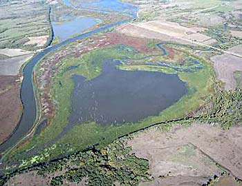 Milford Wetlands Restoration Project