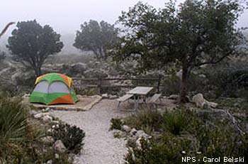 Guadalupe Mountains Camping
