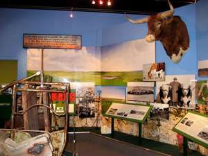 Butler County History Center HomeKansas Oil Museum
