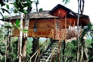 Find Your Inner Child Again in a Treehouse