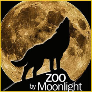 Zoo by Moonlight – Heritage Park Zoological Sanctuary