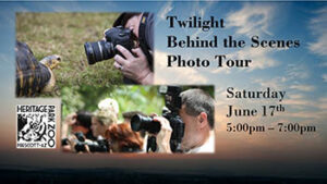 Twilight Behind the Scenes Photo Tour – Heritage Park Zoological Sanctuary