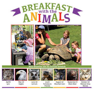 Breakfast with the Tortoise & Friends – Heritage Park Zoological Sanctuary