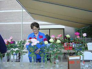 West Valley Rose Society – All that Glitters is Roses