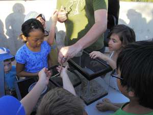 Family Sonoran Sundays