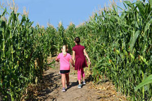 Oakley’s Corn Maze