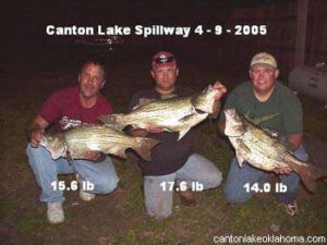 Canton Lake Walleye Rodeo